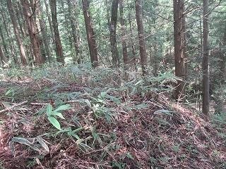 458 sqm Sloping Land for Sale in Nikko, Tochigi - Thumbnail 3