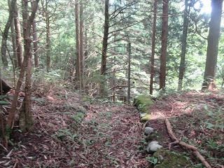 458 sqm Sloping Land for Sale in Nikko, Tochigi - Thumbnail 2