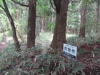 458 sqm Sloping Land for Sale in Nikko, Tochigi - Thumbnail 4