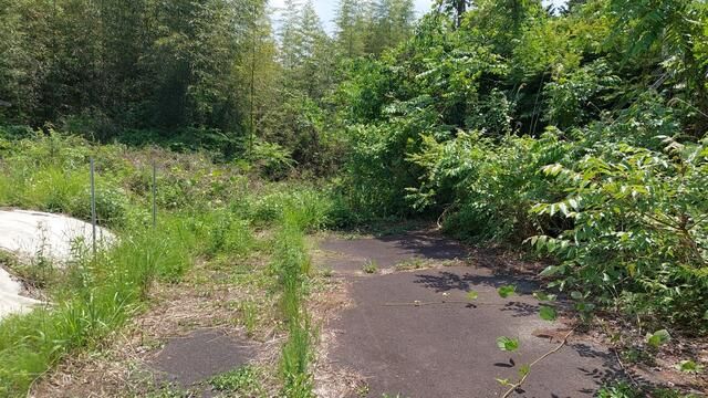 Land with Kominka Potential in Takasaki, Gunma - Thumbnail 4