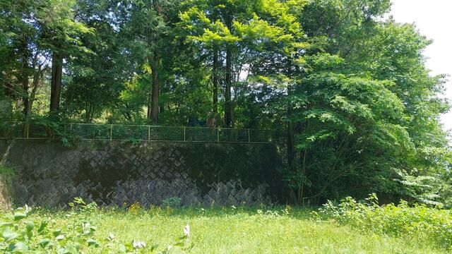 Land with Kominka Potential in Takasaki, Gunma - Thumbnail 3