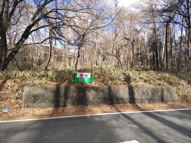 Land for Sale in Kiyosato, Hokuto City, Yamanashi - Thumbnail 3