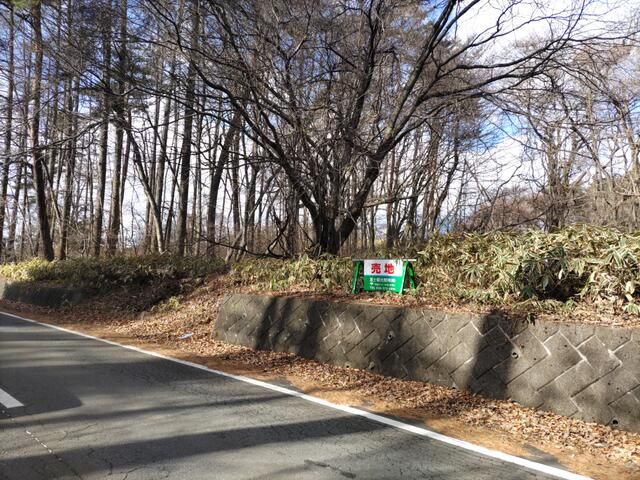 Land for Sale in Kiyosato, Hokuto City, Yamanashi - Thumbnail 4