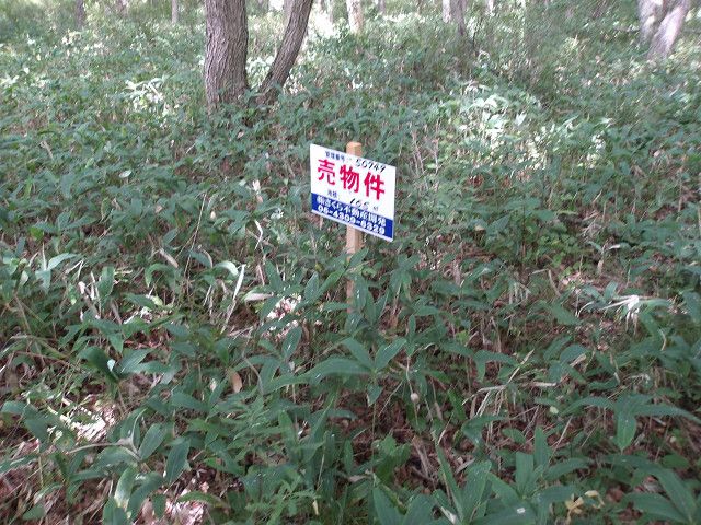 Land for Sale in Tomakomai, Hokkaido - 165 sqm Plot - Thumbnail 3