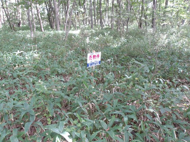 Land for Sale in Tomakomai, Hokkaido - 165 sqm Plot - Thumbnail 4