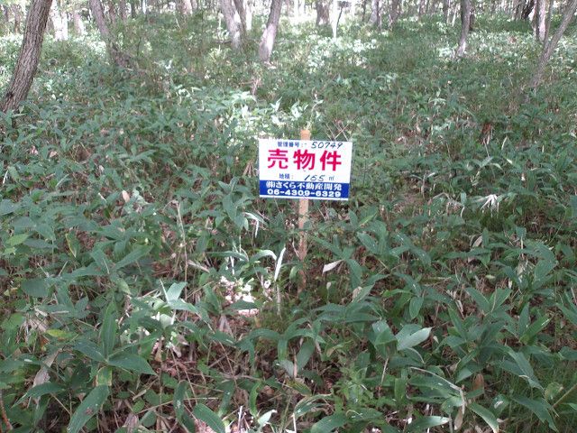 Land for Sale in Tomakomai, Hokkaido - 165 sqm Plot - Thumbnail 2