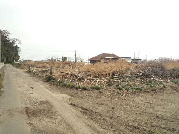 Good sunlight, good ground shape, good reconstruction, and pioneering spirit - Thumbnail 2