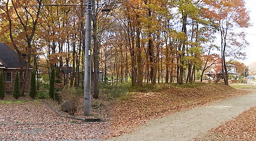 Single-Story Home with Large Plot in Rural Nikko City - Thumbnail 2