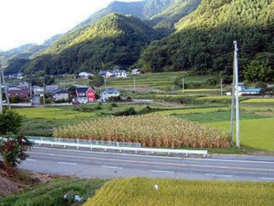A land where you can enjoy the view of the mountains to your heart's content — Image 1, Aoki, Nagano