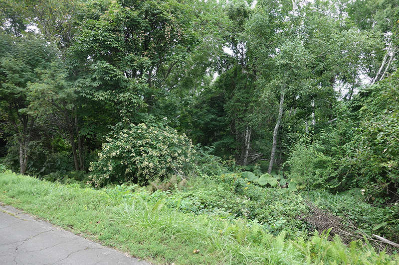 Enjoying hot springs on the Whawao Peninsula on the shores of Lake Kussabiro - Thumbnail 2