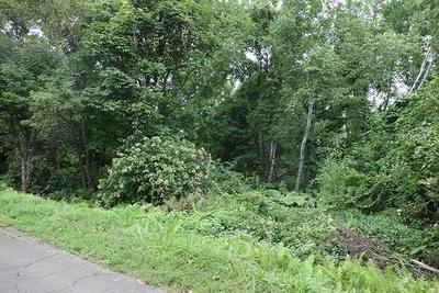 Enjoying hot springs on the Whawao Peninsula on the shores of Lake Kussabiro — Image 1, Shibecha, Hokkaido