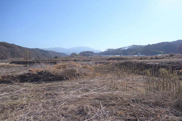 European-Style Pension with 7 Rooms in Nagano Mountain Resort Area - Thumbnail 2