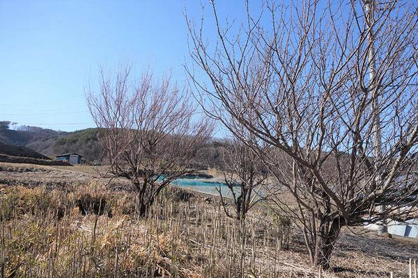 European-Style Pension with 7 Rooms in Nagano Mountain Resort Area - Thumbnail 3