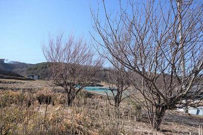 European-Style Pension with 7 Rooms in Nagano Mountain Resort Area — Image 2, Nagawa, Nagano