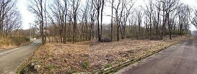 Renovated Traditional Home on Large Hillside Plot in Namegata — Image 3, Namegata, Ibaraki