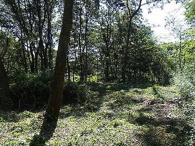 Renovated Traditional Home on Large Hillside Plot in Namegata — Image 2, Namegata, Ibaraki