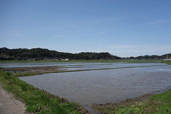 Renovated 7DK Mountain Home in Chichibu - 218m² Plot - Thumbnail 4