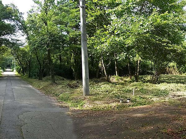 Bright land with water rights where many members live - Image 1