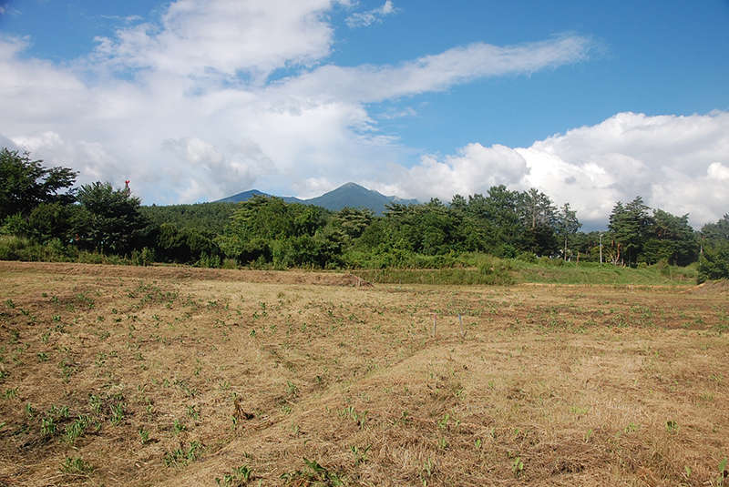 Approximately 3 minutes on foot from Sakai Elementary School, residential land with vegetable garden (D section) - Thumbnail 2