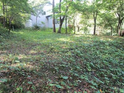 Hillside Farmhouse with Land in Historic Aki-Takata, Hiroshima — Image 4, Akitakada, Hiroshima