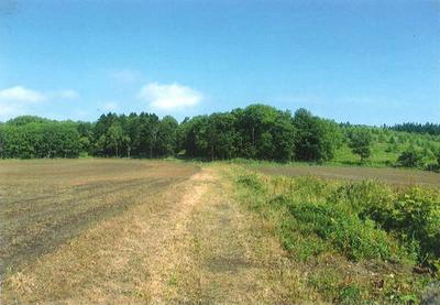 Vast land at the southern foot of Mt. Iou — Image 1, Teshikaga, Hokkaido