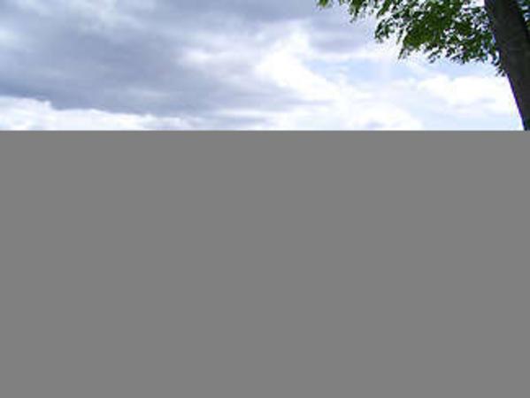 Land close to cultural and sports facilities - Image 3