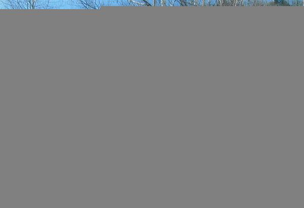 Land with hot springs to enjoy the nature of Lake Mashu - Thumbnail 4