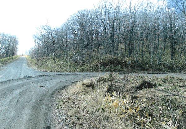 Corner Plot with Storage Building Near Isobunnai Station, Hokkaido - Thumbnail 2