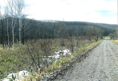 Corner Plot with Storage Building Near Isobunnai Station, Hokkaido — Image 3, Shibecha, Hokkaido