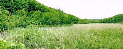 Riverside DIY Home Near Mashu Station, Teshikaga - ¥1.5M — Image 1, Teshikaga, Hokkaido