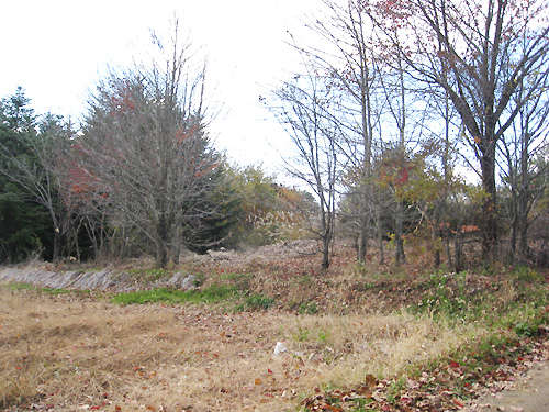 A wide land with a gentle south slope where you can enjoy country life - Thumbnail 3