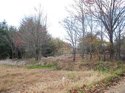 A wide land with a gentle south slope where you can enjoy country life — Image 2, Saku, Nagano