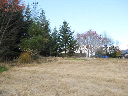 A wide land with a gentle south slope where you can enjoy country life - Thumbnail 4