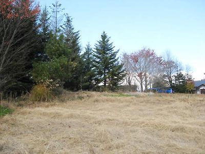 A wide land with a gentle south slope where you can enjoy country life — Image 3, Saku, Nagano