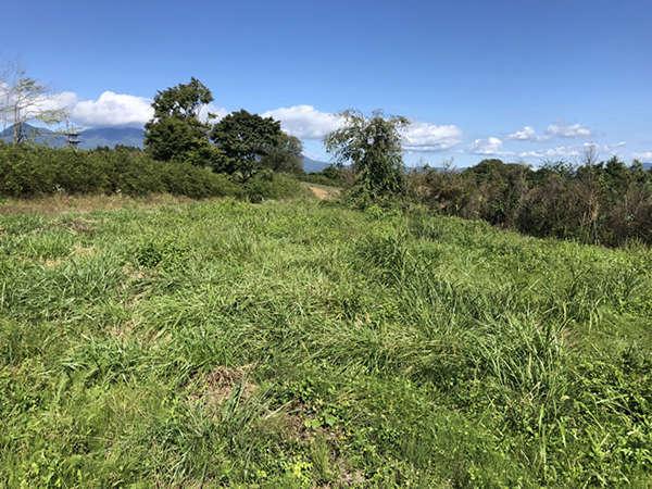 a bright land that slopes southeast of the Mimakihara Plain - Thumbnail 2