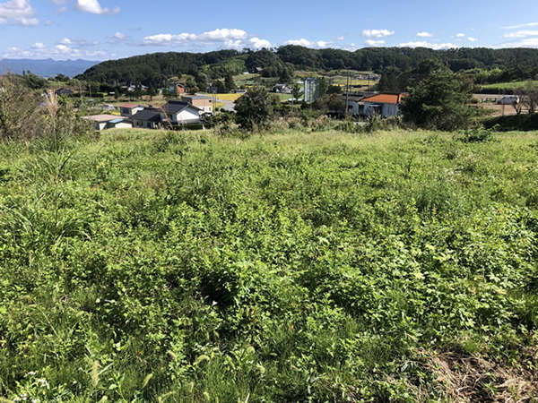 a bright land that slopes southeast of the Mimakihara Plain - Thumbnail 4