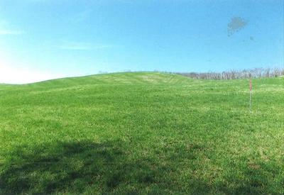 Flat and open forest land on the outskirts of Teshikaga Town — Image 1, Teshikaga, Hokkaido