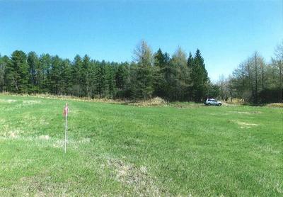 Flat and open forest land on the outskirts of Teshikaga Town — Image 2, Teshikaga, Hokkaido