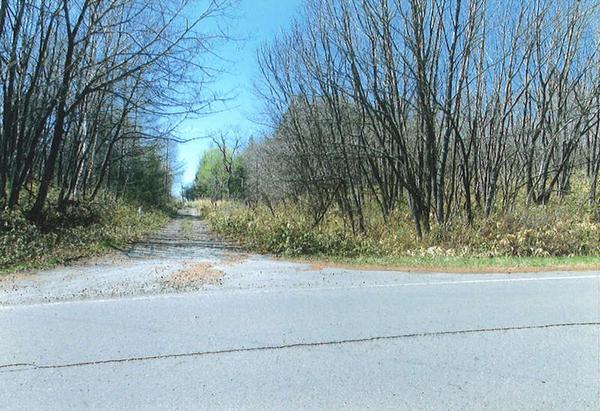 Flat and open forest land on the outskirts of Teshikaga Town - Thumbnail 2