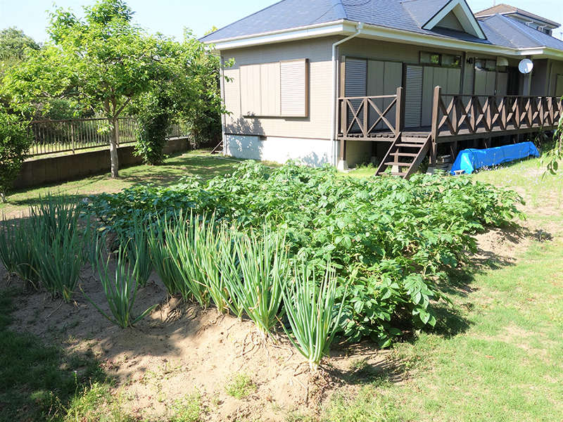 Easy-to-use one-story house with a beautiful garden - Thumbnail 3