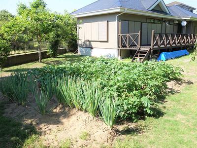 Easy-to-use one-story house with a beautiful garden — Image 2, Yokoshibahikaricho, Saitama
