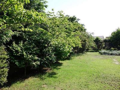 Easy-to-use one-story house with a beautiful garden — Image 1, Yokoshibahikaricho, Saitama