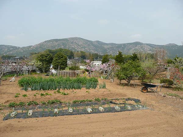 Modern Pension Property in Aizu Highland, Fukushima - Thumbnail 4