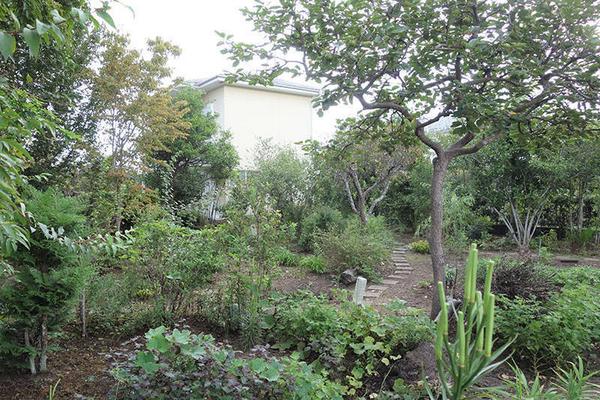 A house with a rural landscape and a beautifully managed garden - Thumbnail 2