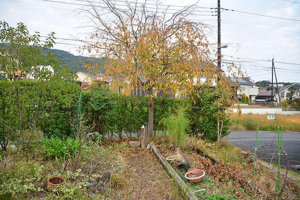 2 lots with vegetable garden space, barrier-free housing for peace - Thumbnail 4
