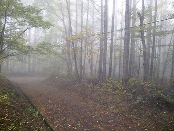 Traditional House with Sea Views in Shodoshima Island - Image 2