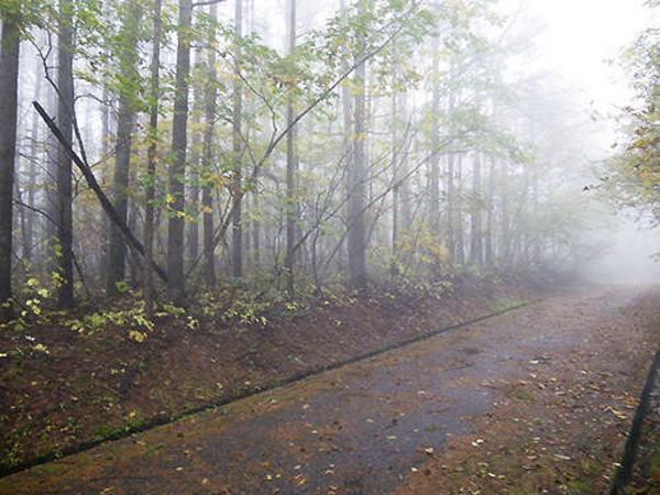 Traditional House with Sea Views in Shodoshima Island - Image 1