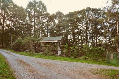 A house with a large vegetable garden in the forest where you can hear the babble — Image 1, Fujimi, Nagano