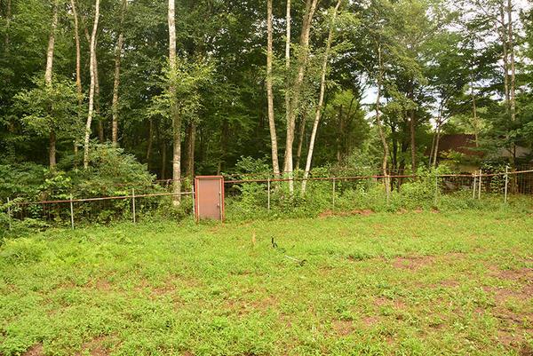 A house with a large vegetable garden in the forest where you can hear the babble - Thumbnail 3