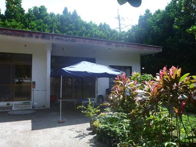 Please feel free to contact us. — Image 1, Motobu, Okinawa